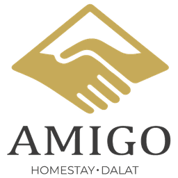 The Amigo